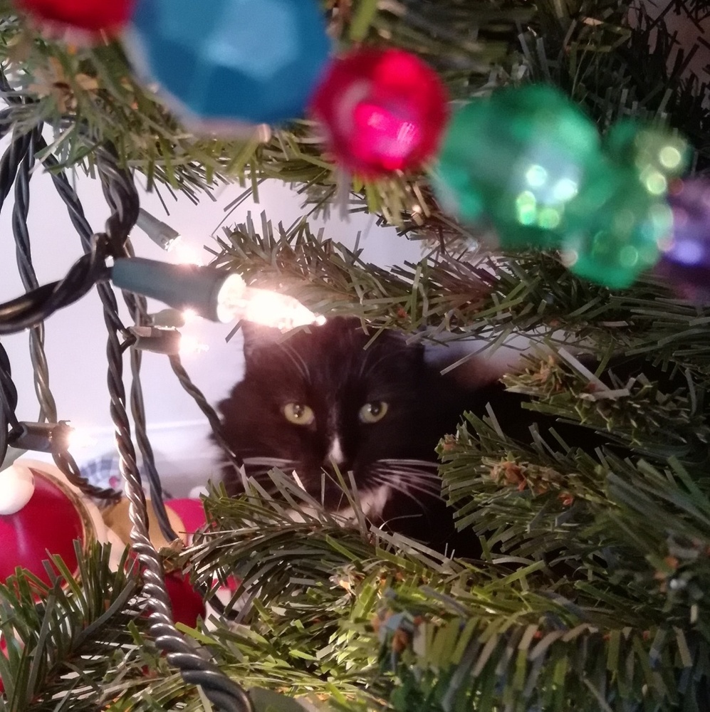 Meet your Posher, Jo